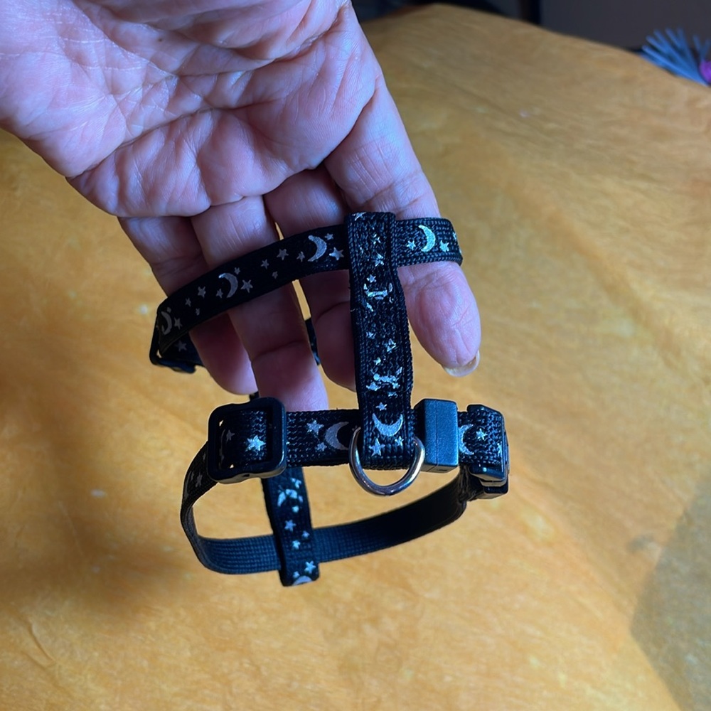 Dog Collars - Picture 3 of 3